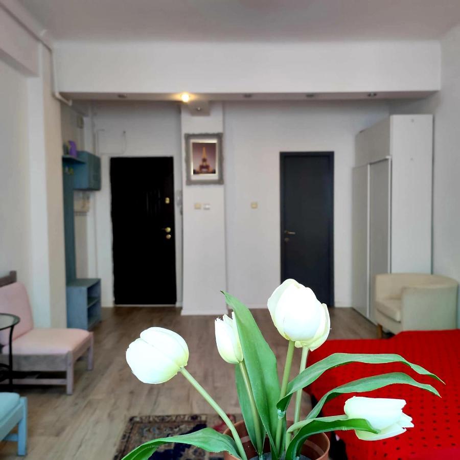Garsoniera Centrul Bucurestiului Apartment Luaran gambar