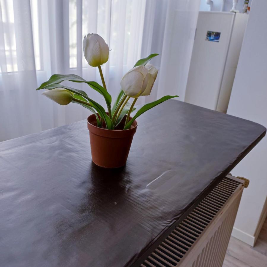 Garsoniera Centrul Bucurestiului Apartment Luaran gambar